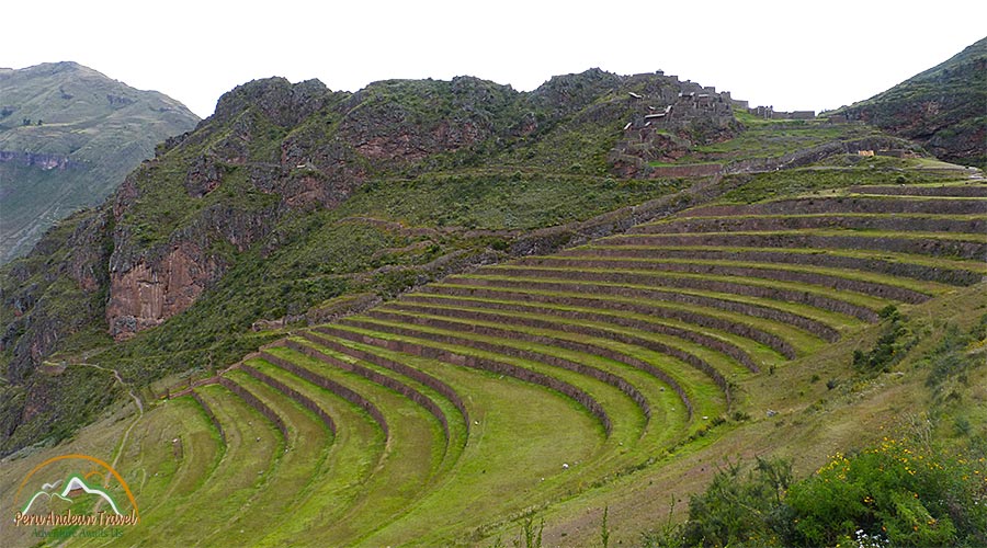 Inca Terraces