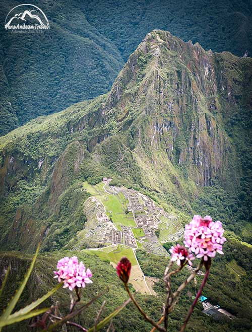 view point from Machu Picchu Mountain