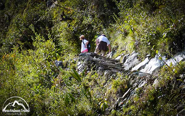 Tourists climbing Machu Picchu mountain