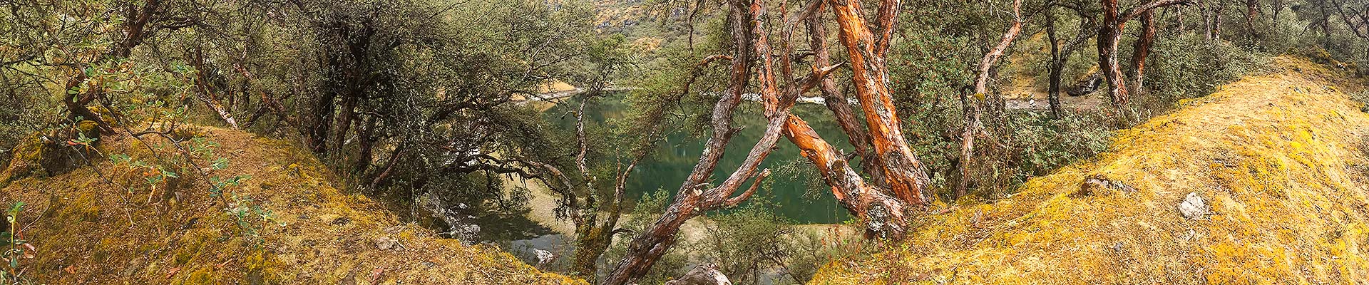 Yanacocha Lake Trek